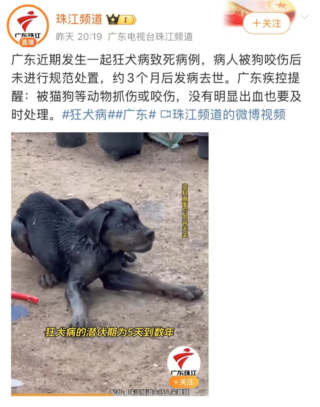 微博截图 狂犬.png